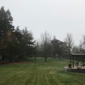 Meet your Posher, Lee ann